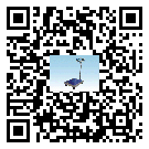 JSD系列電子計數(shù)計重臺秤